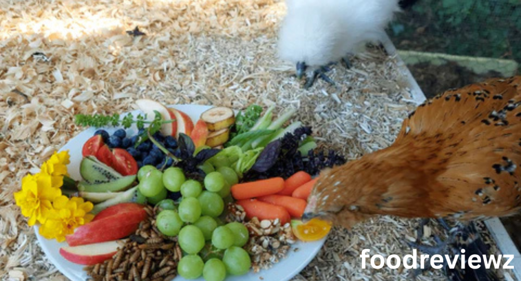 What Chickens Can Eat
